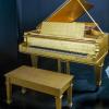 Pianoforte di Elvis Presley
