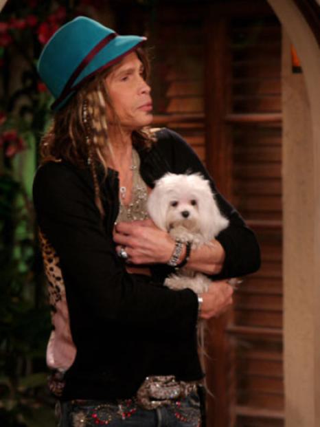 Steven Tyler - Due uomini e mezzo