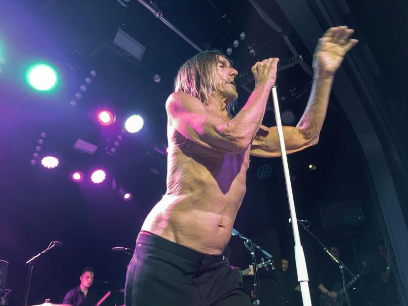 Iggy Pop