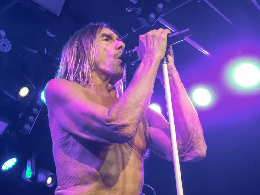 Iggy Pop