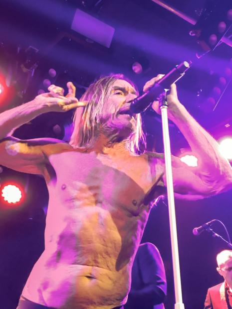 Iggy Pop