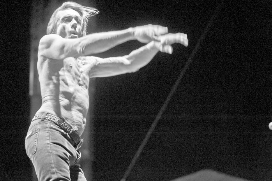 Iggy Pop
