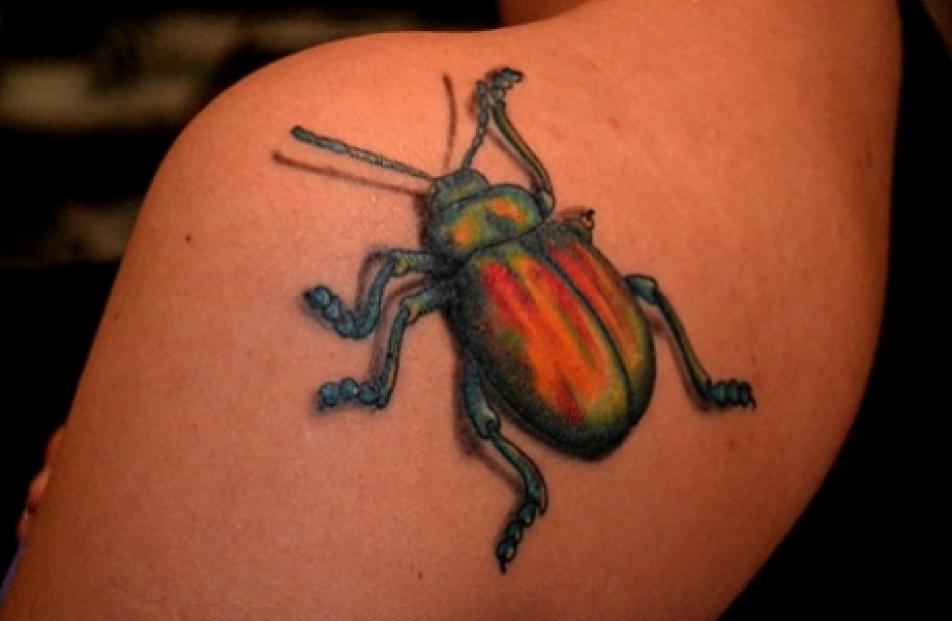 Tattoo Rock Contest III - Gallery