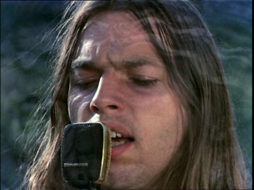 David Gilmour
