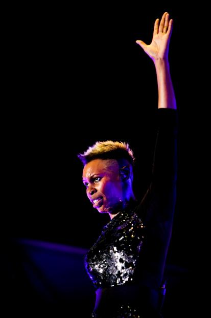 Skunk Anansie  (12)