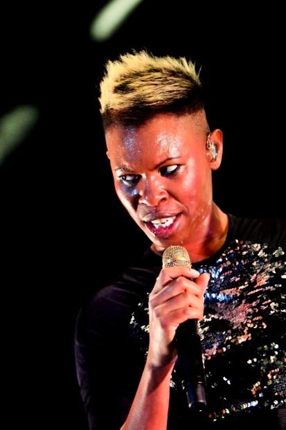 Skunk Anansie  (13)