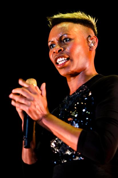 Skunk Anansie  (15)