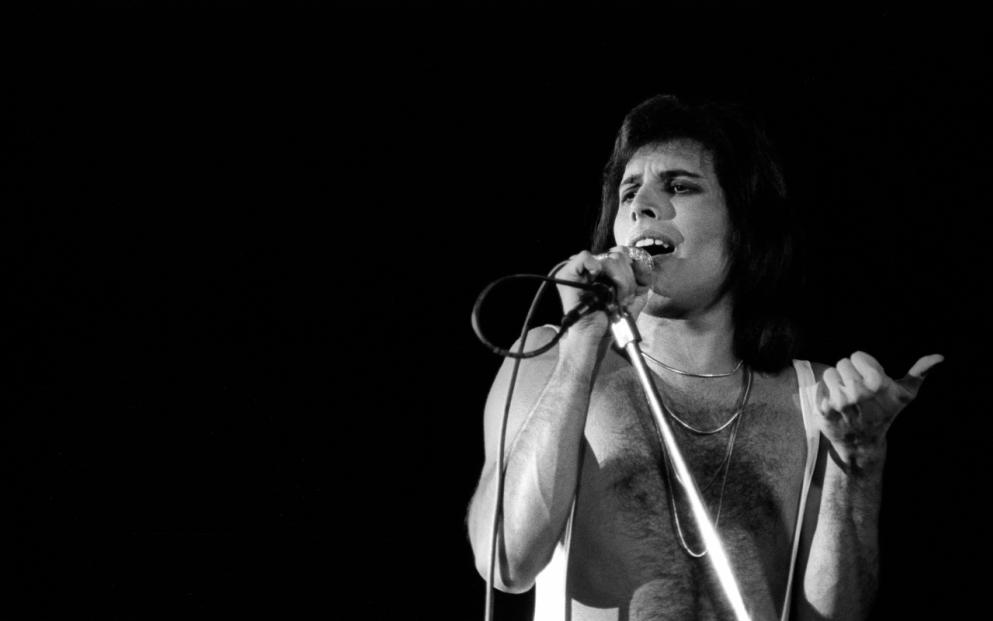 Freddie Mercury 