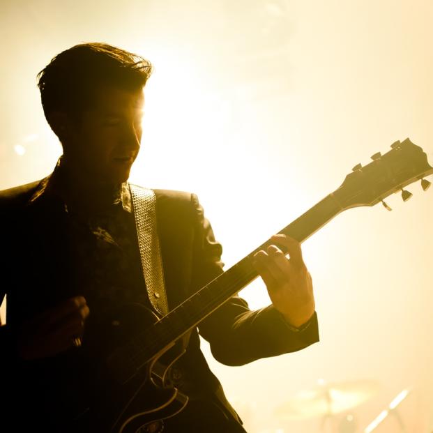 ARTIC MONKEYS (12)