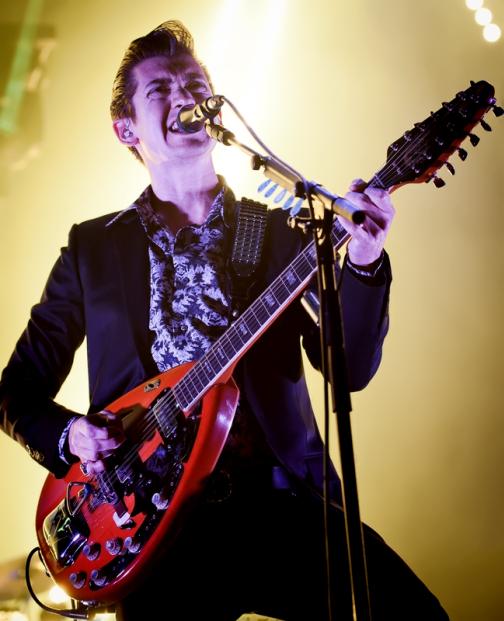 ARTIC MONKEYS (8)