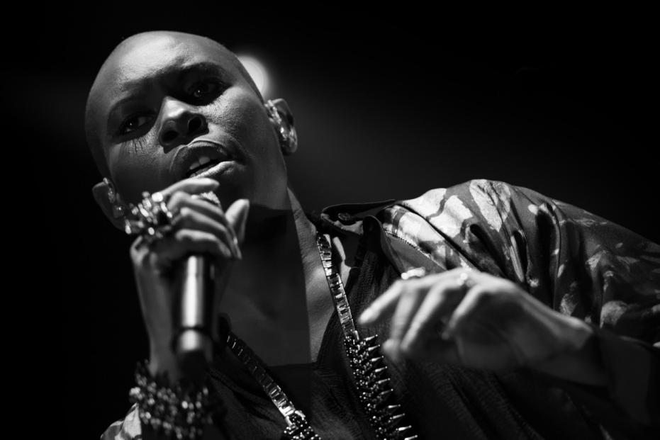 Skunk Anansie
