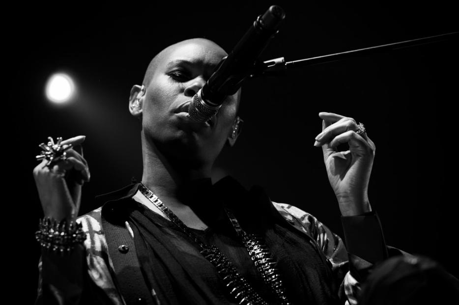 Skunk Anansie