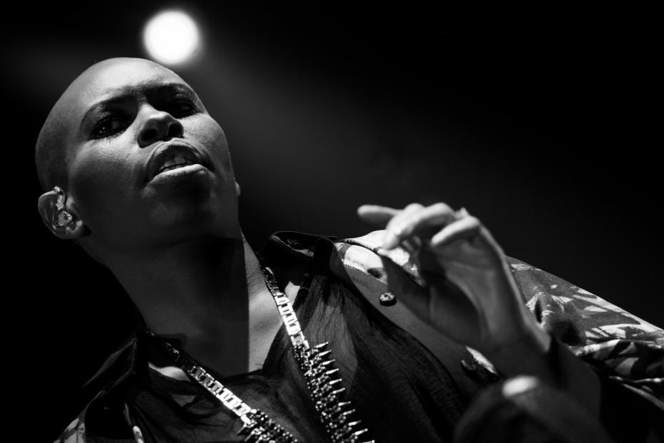 Skunk Anansie