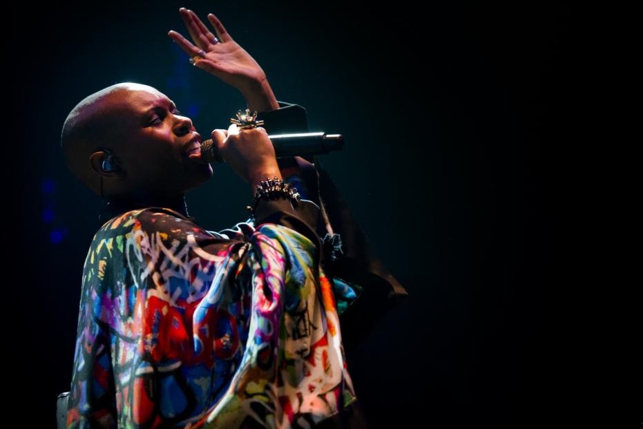 Skunk Anansie