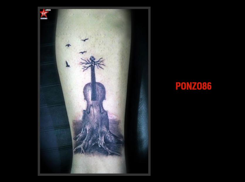 Ponzo86
