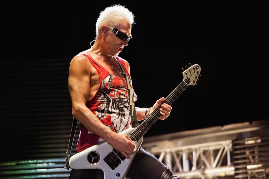 Scorpions  (15)