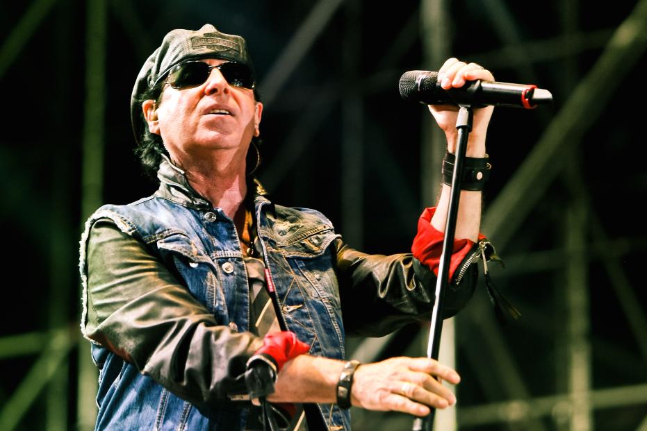 Scorpions  (17)