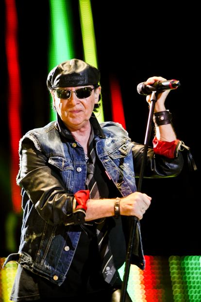 Scorpions  (19)