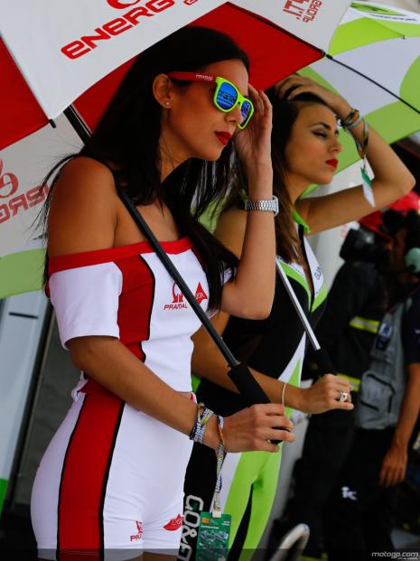paddock-girls__gp_2556_original