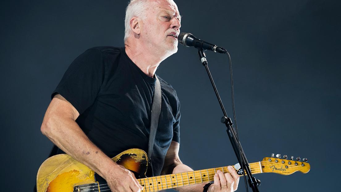 David Gilmour