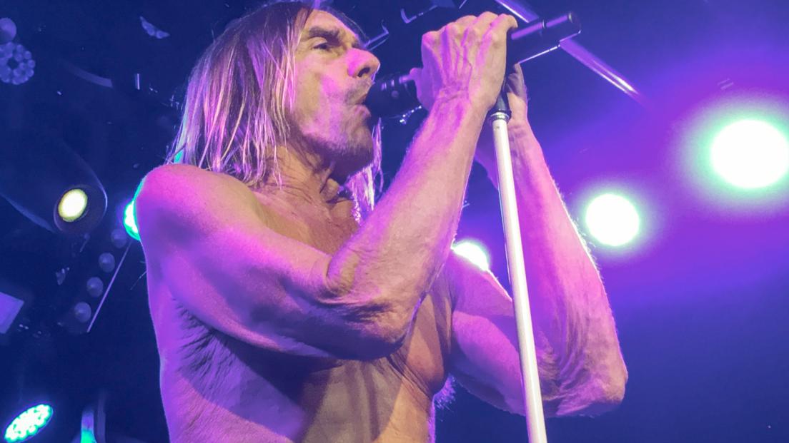 Iggy Pop