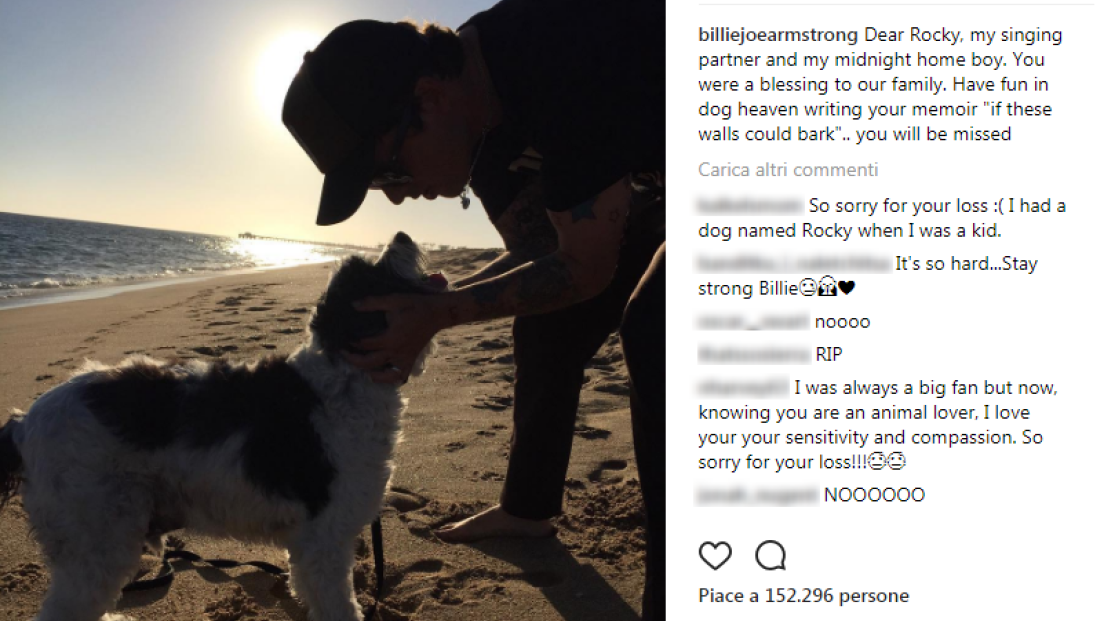 Billie Joe Armstrong dice addio al suo cane Rocky