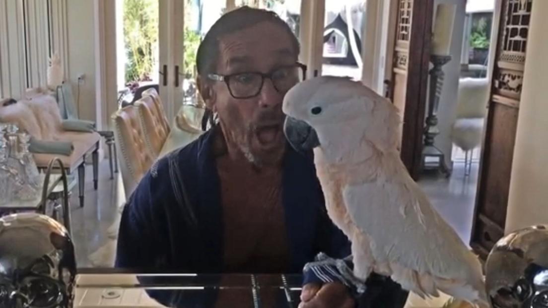 Iggy Pop ha creato un profilo Instagram per il suo pappagallo: Biggy Pop! Guarda i video