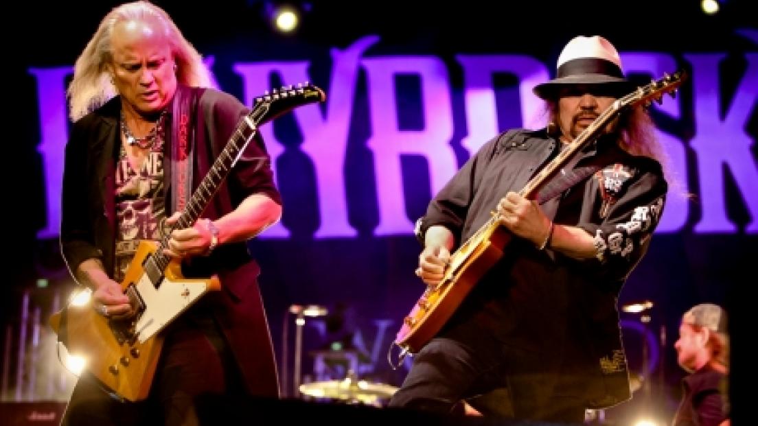 Lynyrd Skynyrd, addio a 