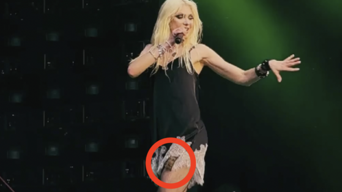 The Pretty Reckless: Taylor Momsen è stata morsa da un pipistrello durante il concerto a Siviglia. Guarda il video