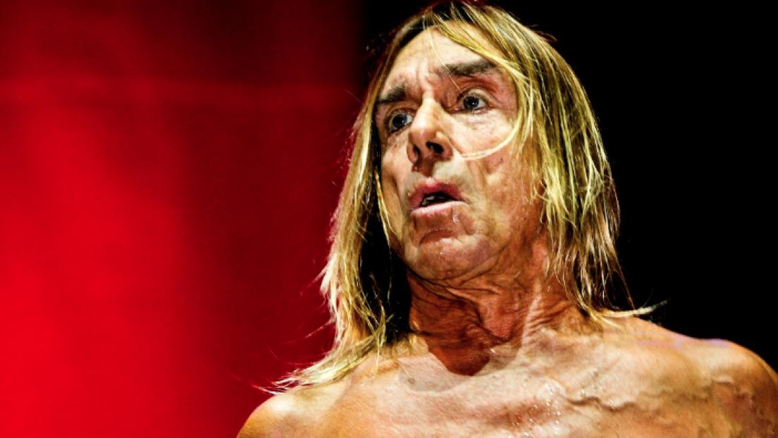 Iggy Pop 