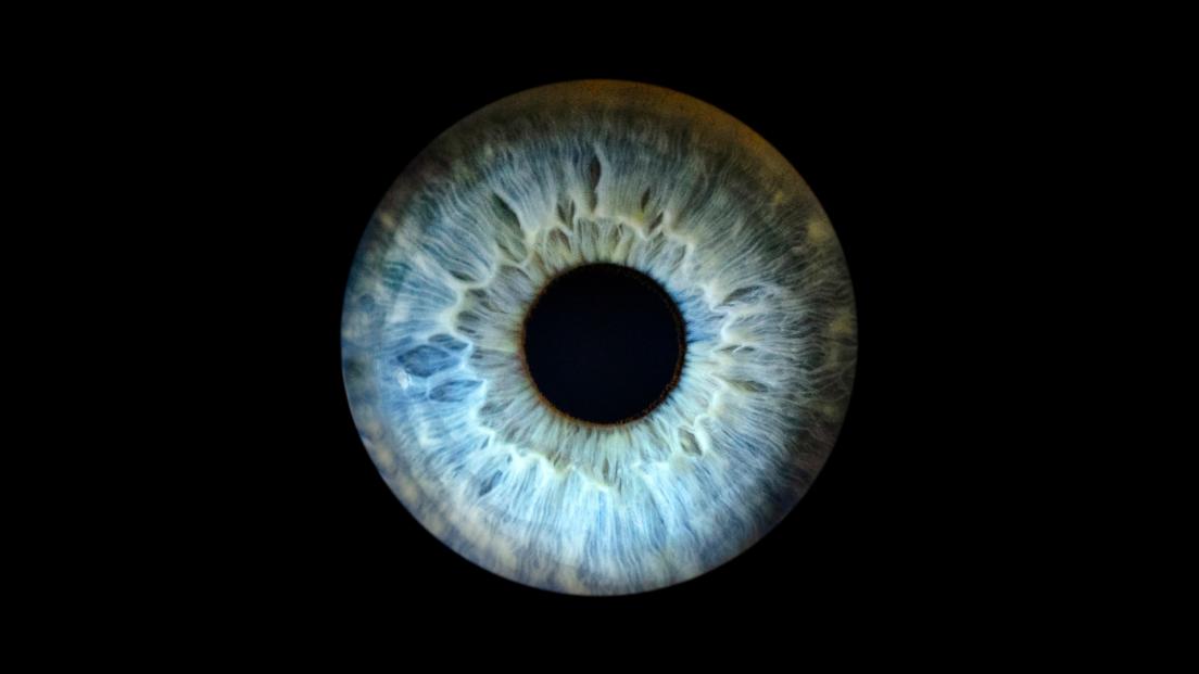 Le cellula della retina possono tornare a vedere dopo la morte