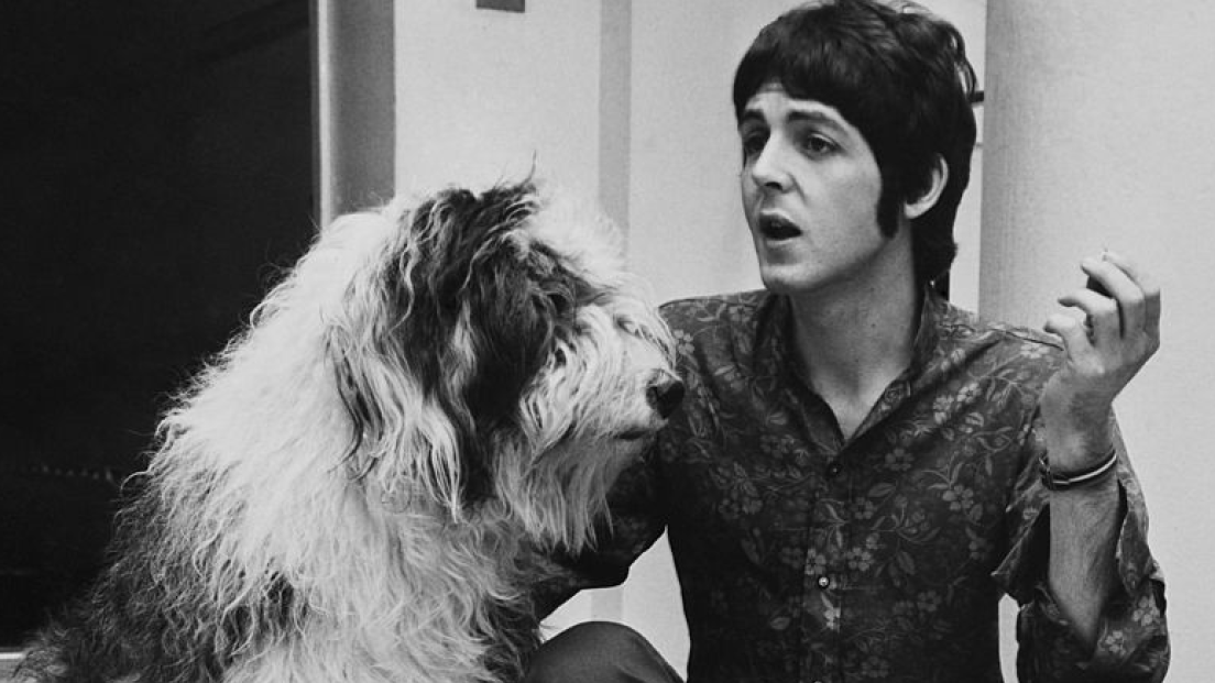 Top 10 delle canzoni rock dedicate ai cani 