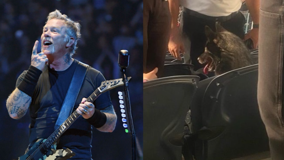 "Master of Puppies": la vera storia della cagnolina sugli spalti (per tre ore) al concerto dei Metallica