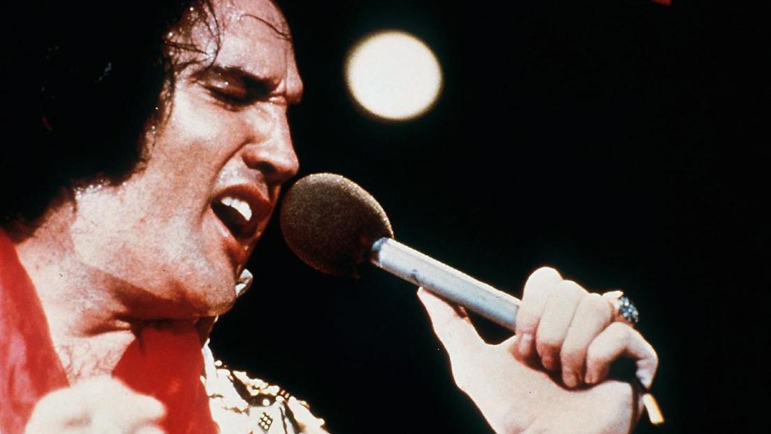 elvis
