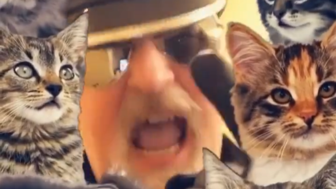 Judas Priest, Rob Halford dà il nome a una cucciolata di gattini: c'è anche Taylor in ricordo del batterista dei Foo Fighters