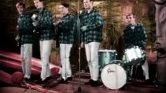 The Beach Boys - Surfin' Safari