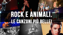Rock e animali: le canzoni più belle