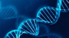 Il biotech italiano punta su BiovelocITA
