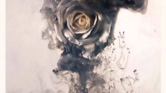 Editors - Sugar