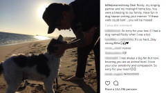 Green Day: Billie Joe Armstrong ha dato addio al suo cane Rocky. Guarda il post