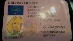 Simpson: fermato dalla polizia presenta la patente di Homer Simpson! Guarda la foto