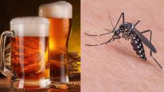 Chi beve birra attira di più le zanzare. Uno studio lo conferma