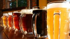 Birra e vino: il consumo moderato aiuta a combattere l'invecchiamento del cervello. Lo dimostra uno studio