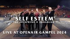 Gli Offspring e Yungblud hanno suonato insieme "Self Esteem". Guarda il video