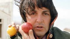 Paul McCartney & Wings: annunciata la nuova edizione per il 50° di "Venus And Mars". Tutte le info