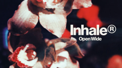 Inhaler - Open Wide: partecipa all'estrazione finale dell'album in versione LP