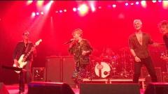 Stone Temple Pilots: un bambino di 9 anni sale sul palco e canta “Dead and Bloated! Guarda il video