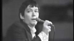 The Animals - Boom Boom