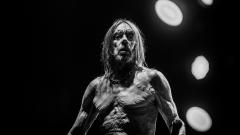 Iggy Pop: il nuovo album Every Loser uscirà il 6 gennaio