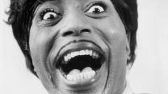 Little Richard: guarda la gallery dedicata alla leggenda del rock